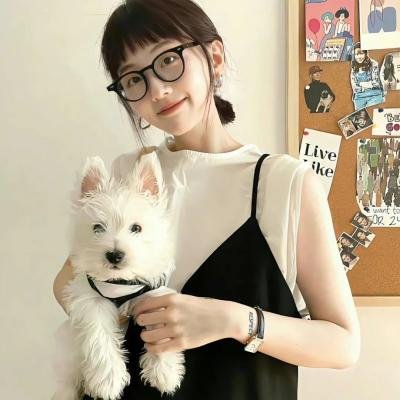 羊狼共和国:猪事大急